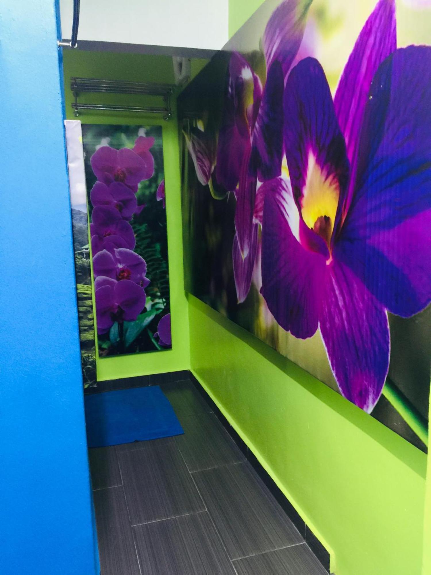 Lily Haven Hotel C-1 Tanah Rata Ngoại thất bức ảnh