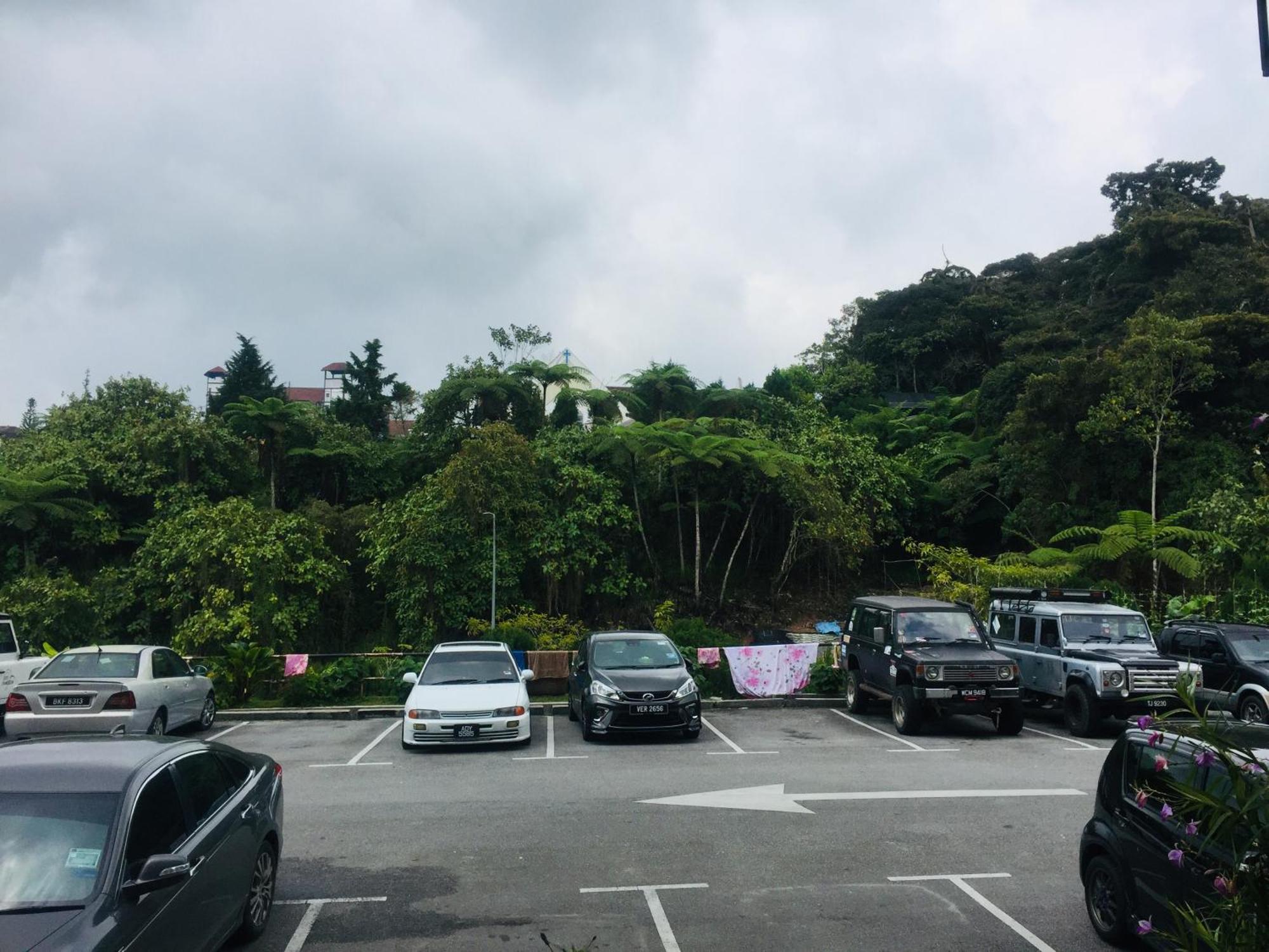 Lily Haven Hotel C-1 Tanah Rata Ngoại thất bức ảnh